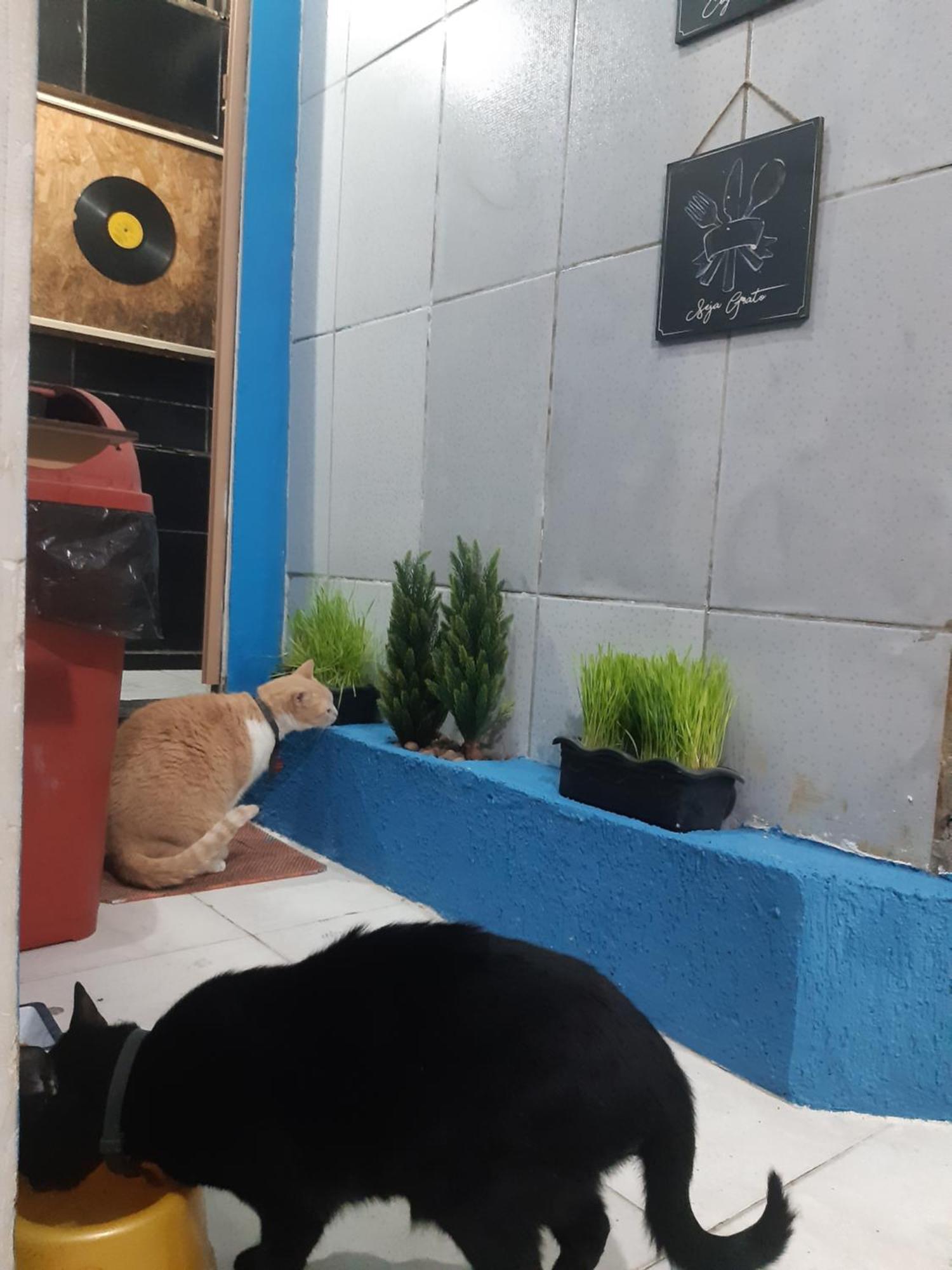 Sapucali Privative Hostel Rio de Janeiro Buitenkant foto