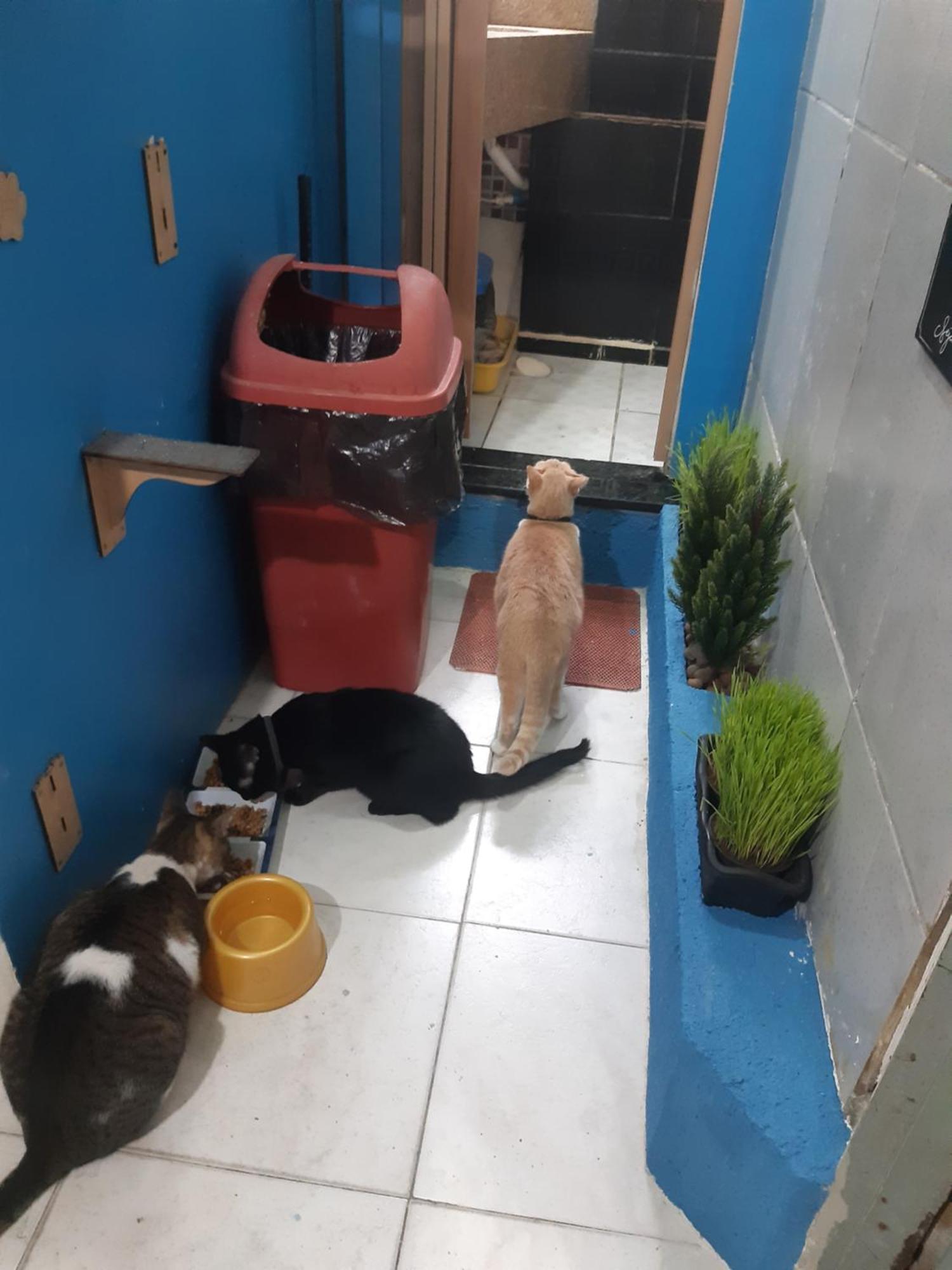 Sapucali Privative Hostel Rio de Janeiro Buitenkant foto